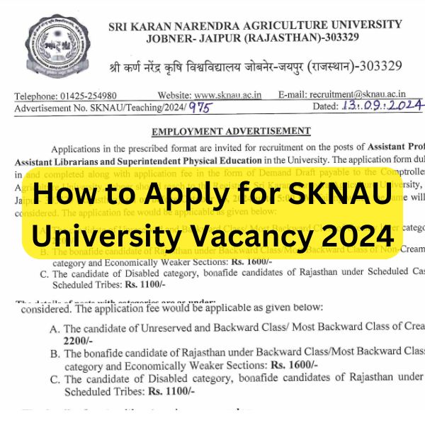 How to Apply for SKNAU University Vacancy 2024